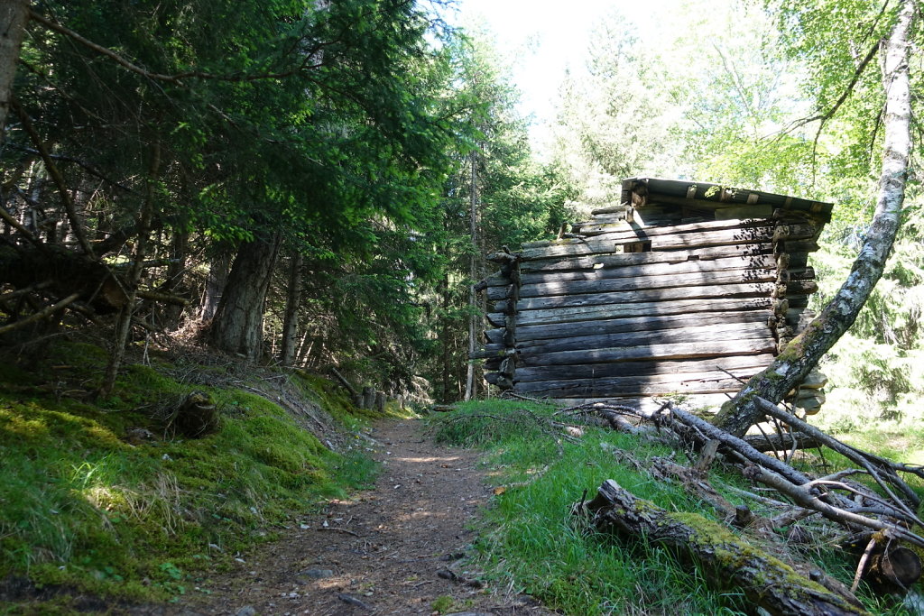 Bisse des Sarrasins (06.06.2022)