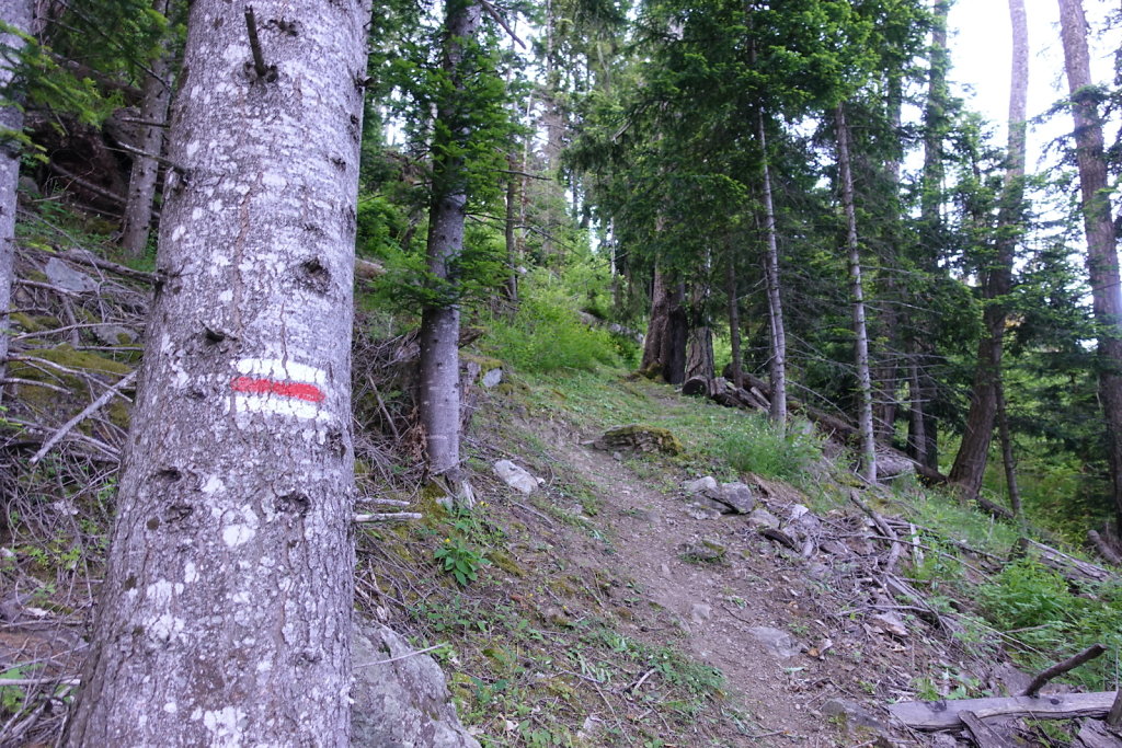 La Giette, Sé Carro, Plan de Ména, Cabane de Scex Carro (11.06.2022)