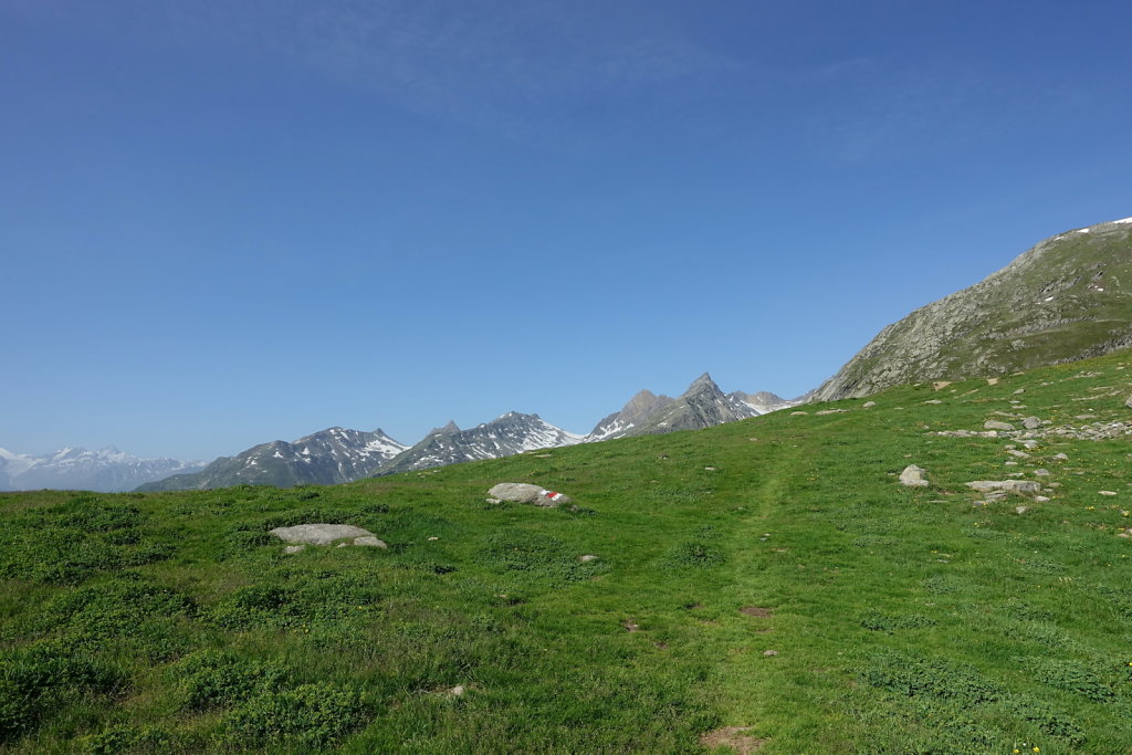 Lauchernalp, Lötschenpasshütte, Kummenalp (18.06.2022)