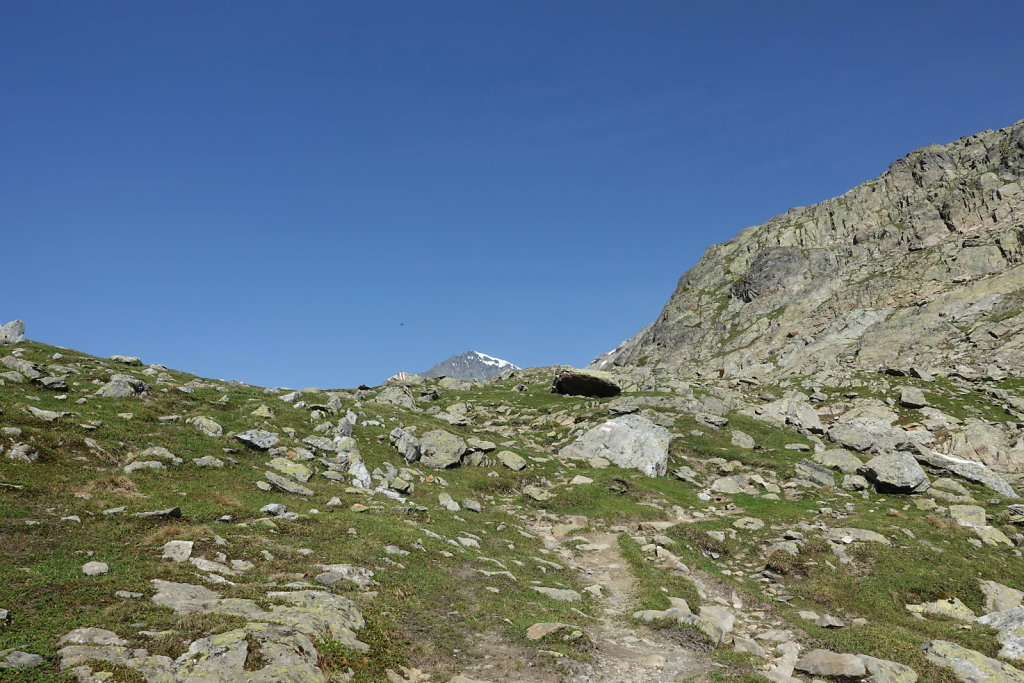 Lauchernalp, Lötschenpasshütte, Kummenalp (18.06.2022)