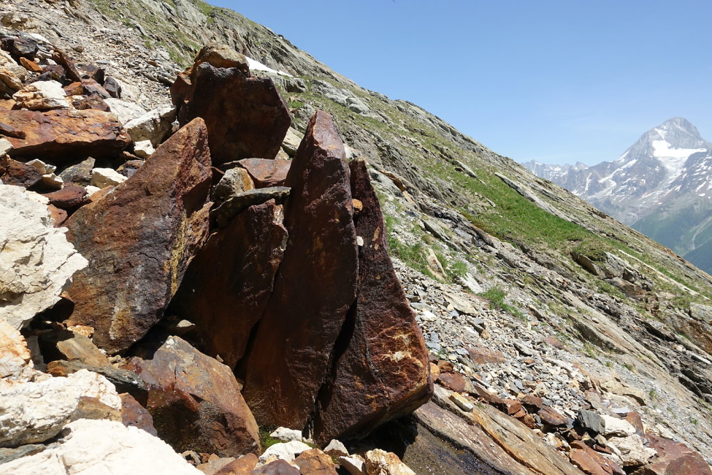 Lauchernalp, Lötschenpasshütte, Kummenalp (18.06.2022)