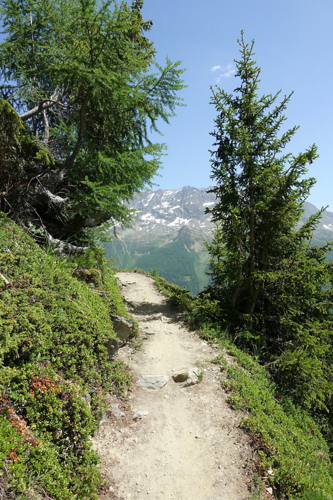 Lauchernalp, Lötschenpasshütte, Kummenalp (18.06.2022)
