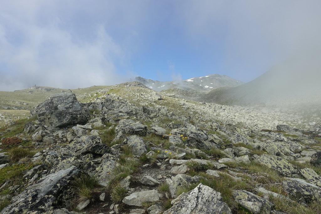 Moosalp, Augstbordhorn (29.06.2022)