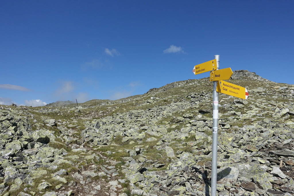 Moosalp, Augstbordhorn (29.06.2022)