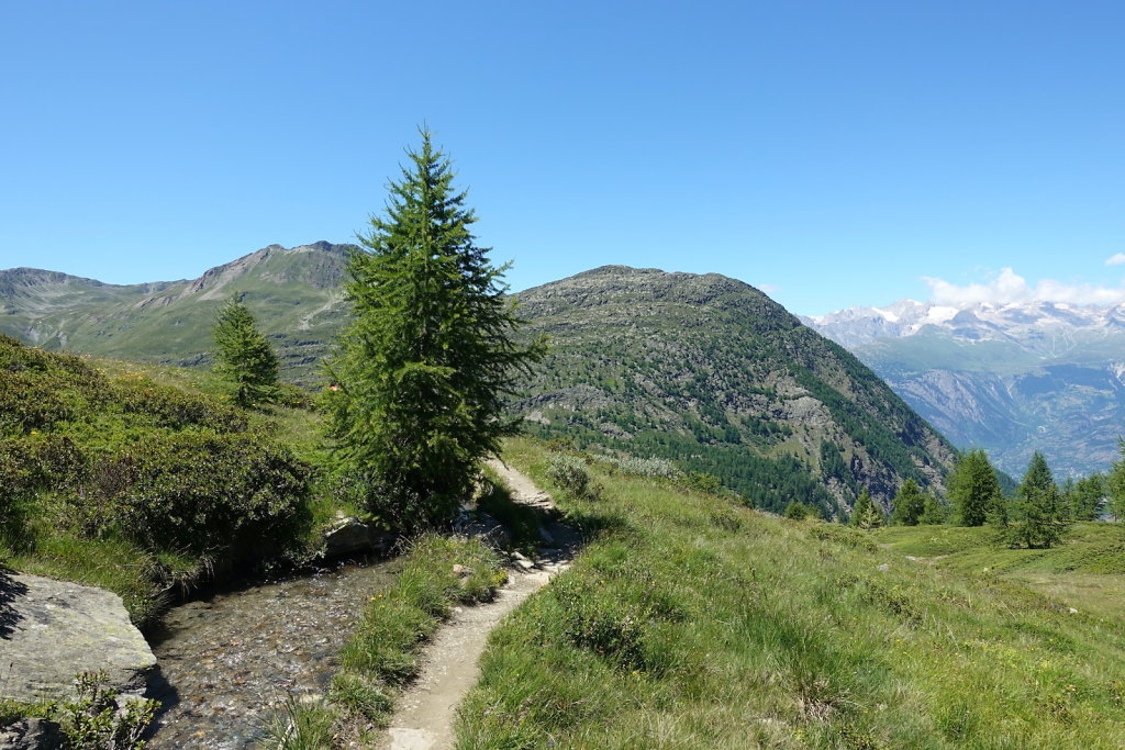 Simplon, Cabane de Monte-Leone (10.07.2022)