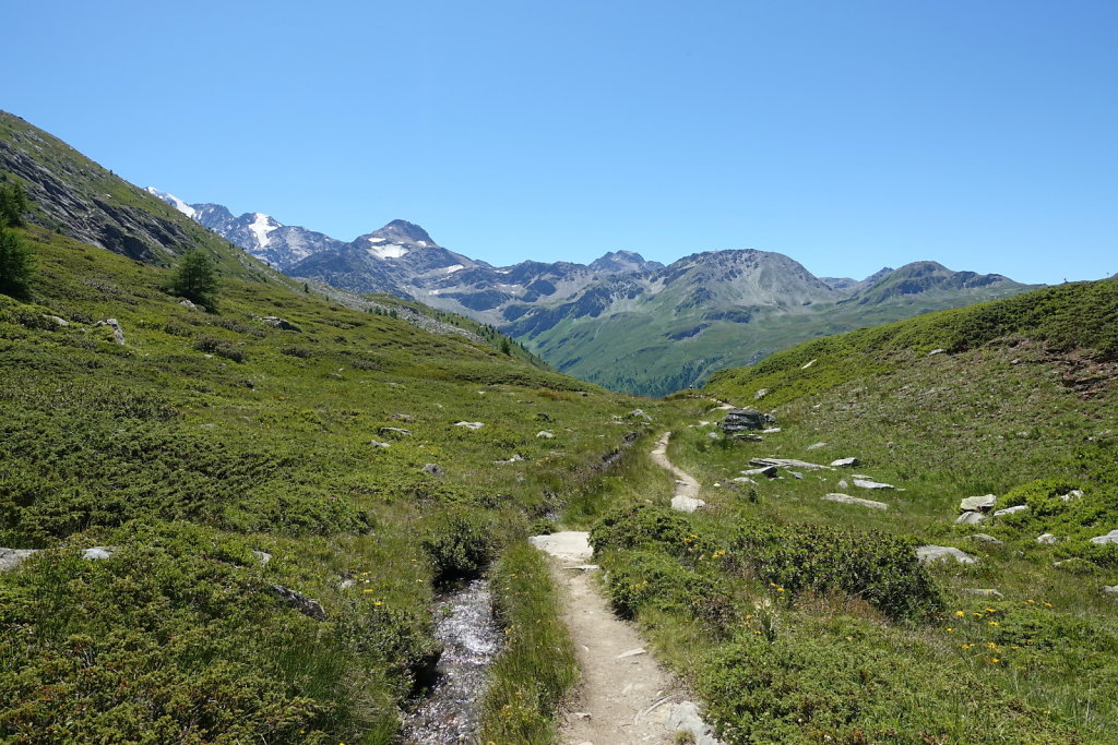 Simplon, Cabane de Monte-Leone (10.07.2022)