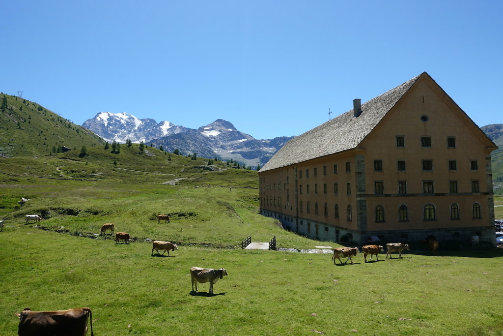 Simplon, Cabane de Monte-Leone (10.07.2022)