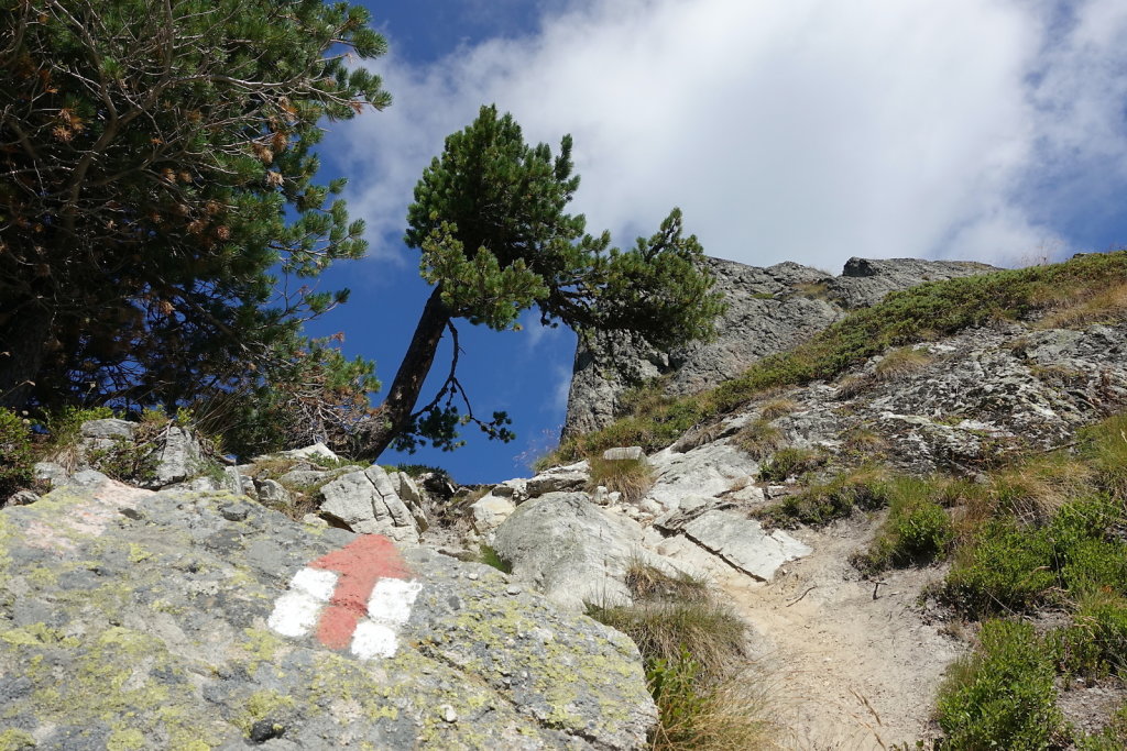 Tracouet, Dent de Nendaz, Pointe de Balavaux, Le Basso, Cabane de Balavaux (24.07.2022)