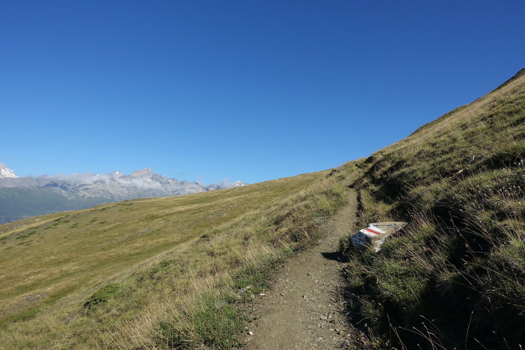 Rosswald, Folluhorn, Fülhorn (01.08.2022)