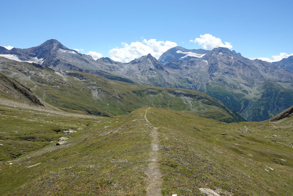 Rosswald, Folluhorn, Fülhorn (01.08.2022)