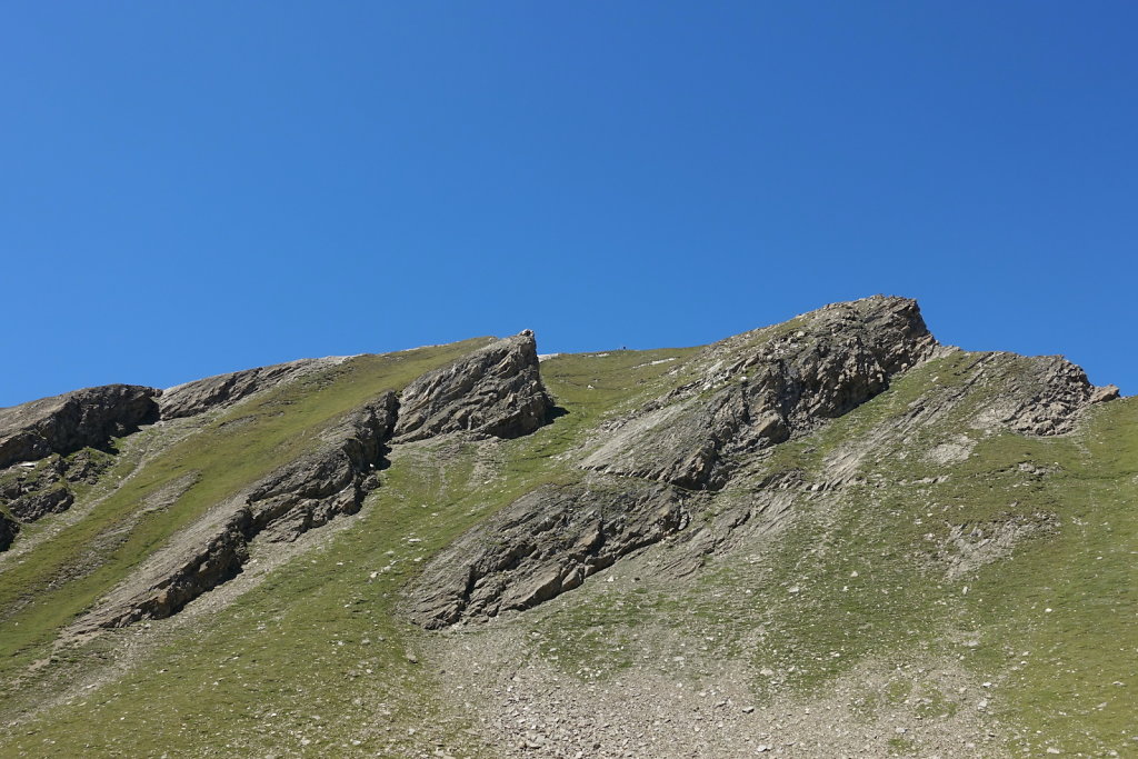 Rosswald, Folluhorn, Fülhorn (01.08.2022)