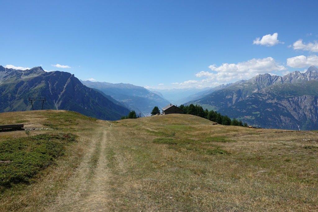 Rosswald, Folluhorn, Fülhorn (01.08.2022)