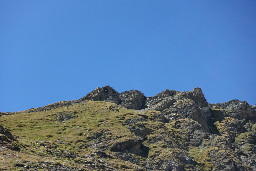 Moiry, Lac des Autannes, Col de Torrent, Sasseneire (13.08.2022)