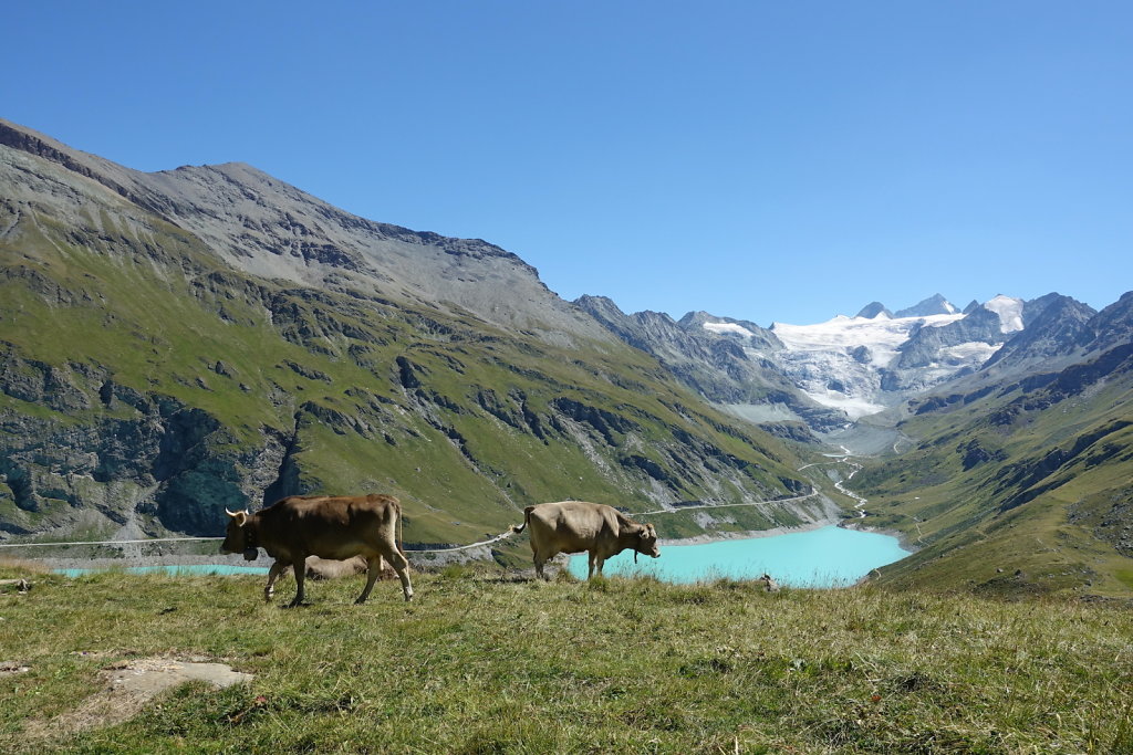 Moiry, Lac des Autannes, Col de Torrent, Sasseneire (13.08.2022)