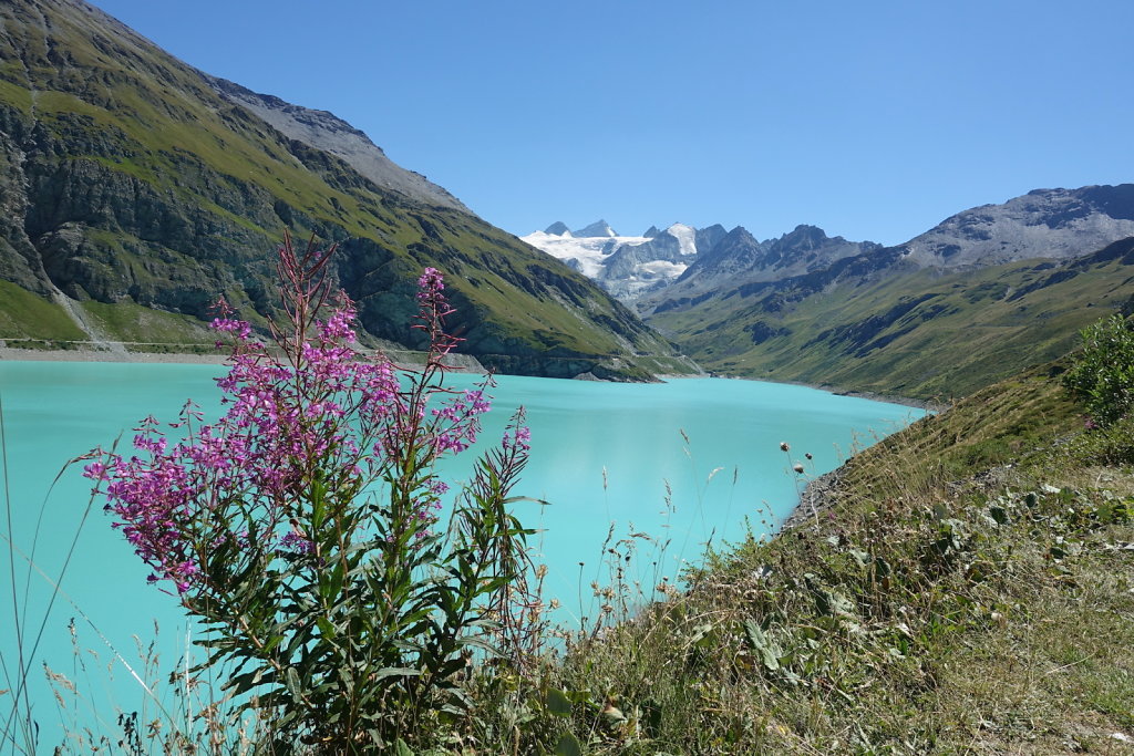 Moiry, Lac des Autannes, Col de Torrent, Sasseneire (13.08.2022)