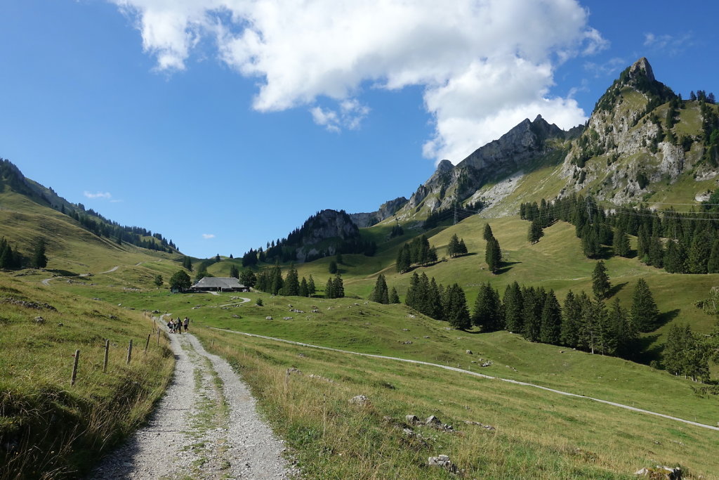 Schwarzsee (22.08.2022)