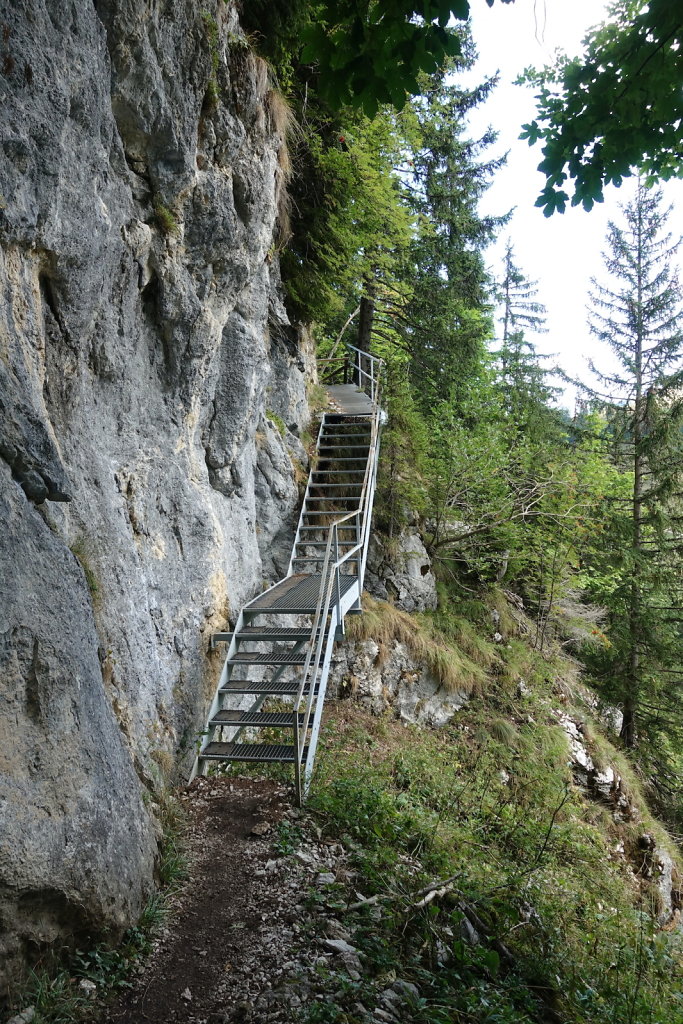 Schwarzsee (22.08.2022)