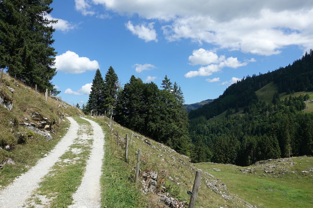 Schwarzsee (22.08.2022)