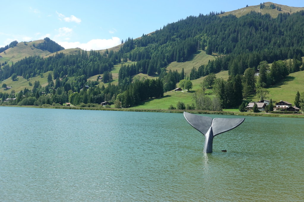 Schwarzsee (22.08.2022)