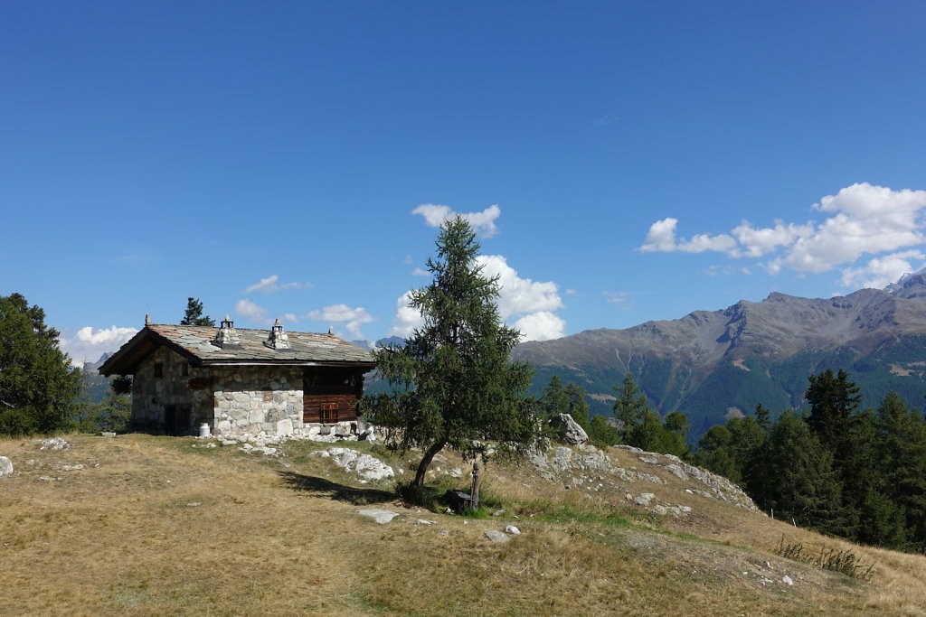 Moosalp, Panoramaweg (25.08.2022)