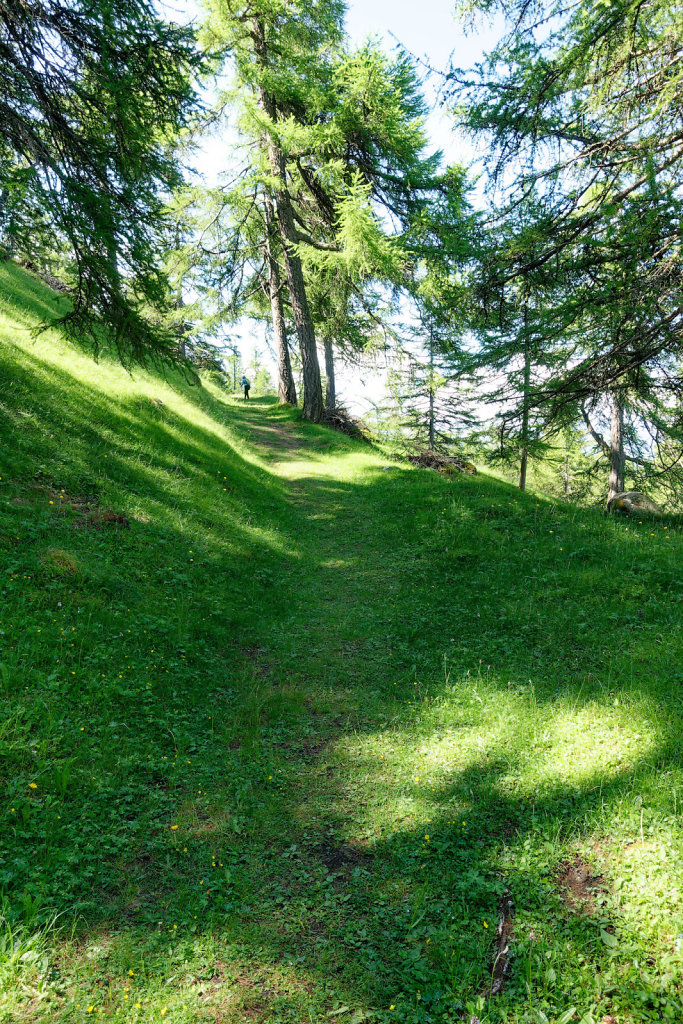 La Crevasse, Col des Planches (11.06.2023)