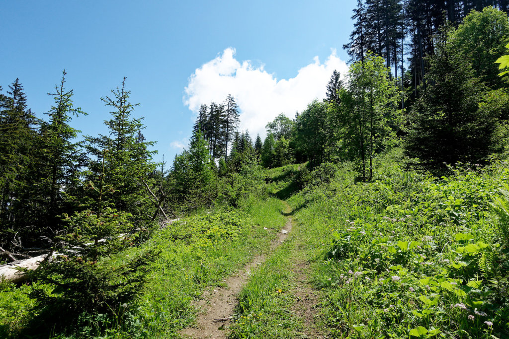 La Crevasse, Col des Planches (11.06.2023)