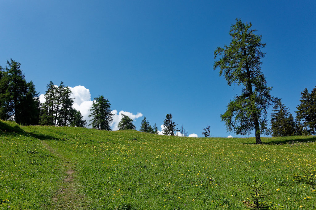 La Crevasse, Col des Planches (11.06.2023)