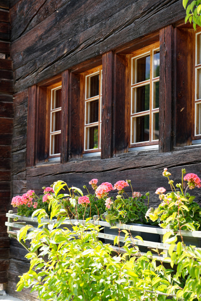 Lötschental (17.06.2023)