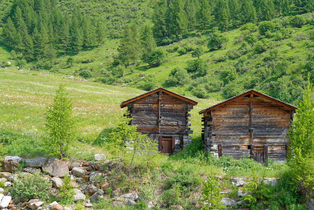 Lötschental (17.06.2023)