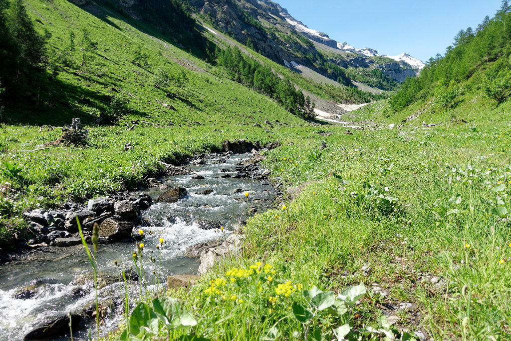 Gîte de Dorbon (24.06.2023)