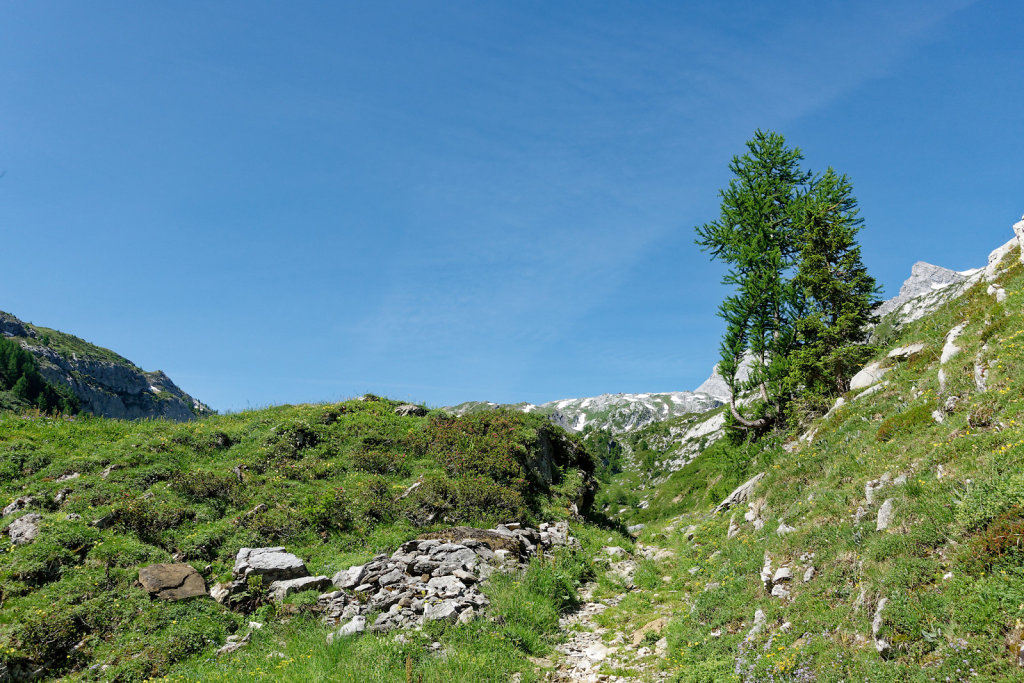 Gîte de Dorbon (24.06.2023)