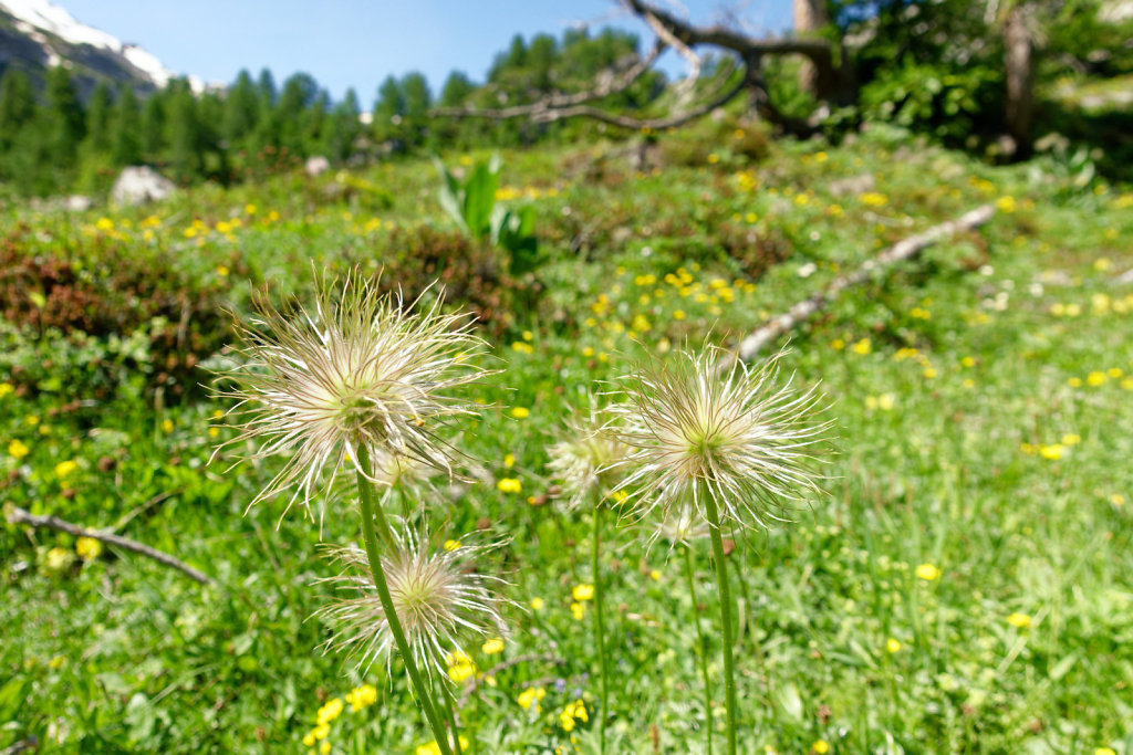 Gîte de Dorbon (24.06.2023)