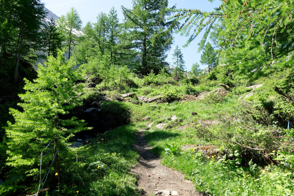 Gîte de Dorbon (24.06.2023)