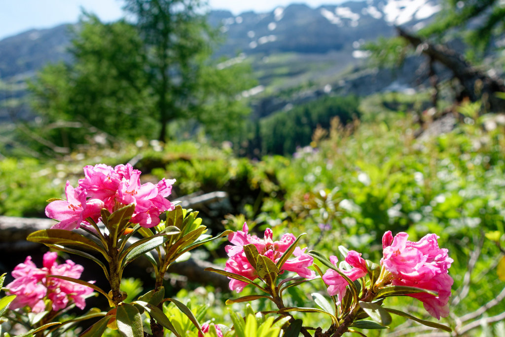 Gîte de Dorbon (24.06.2023)