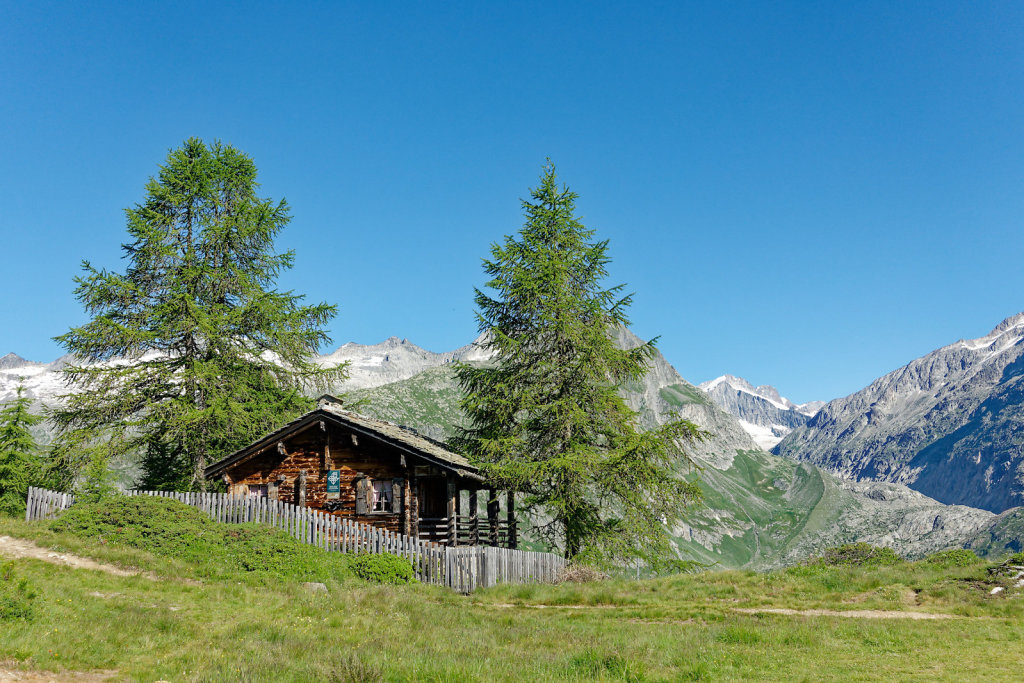 Riederalp, Riederhorn (09.07.2023)