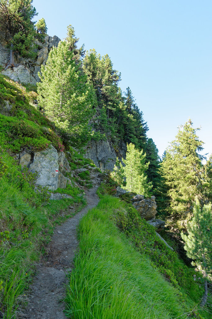 Riederalp, Riederhorn (09.07.2023)