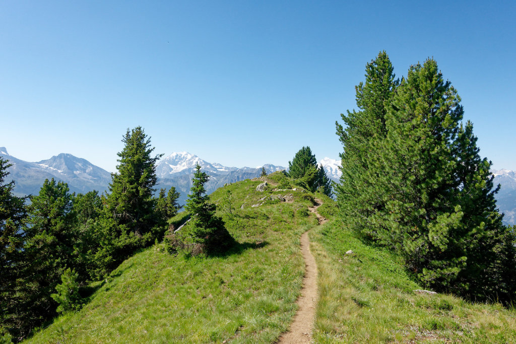 Riederalp, Riederhorn (09.07.2023)