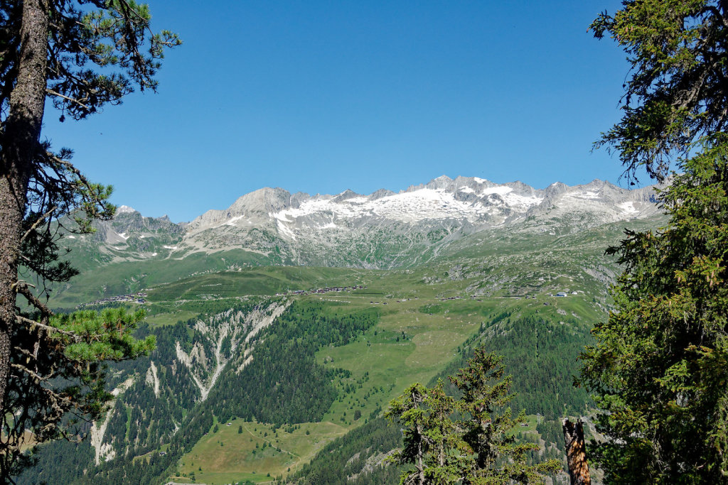 Riederalp, Riederhorn (09.07.2023)