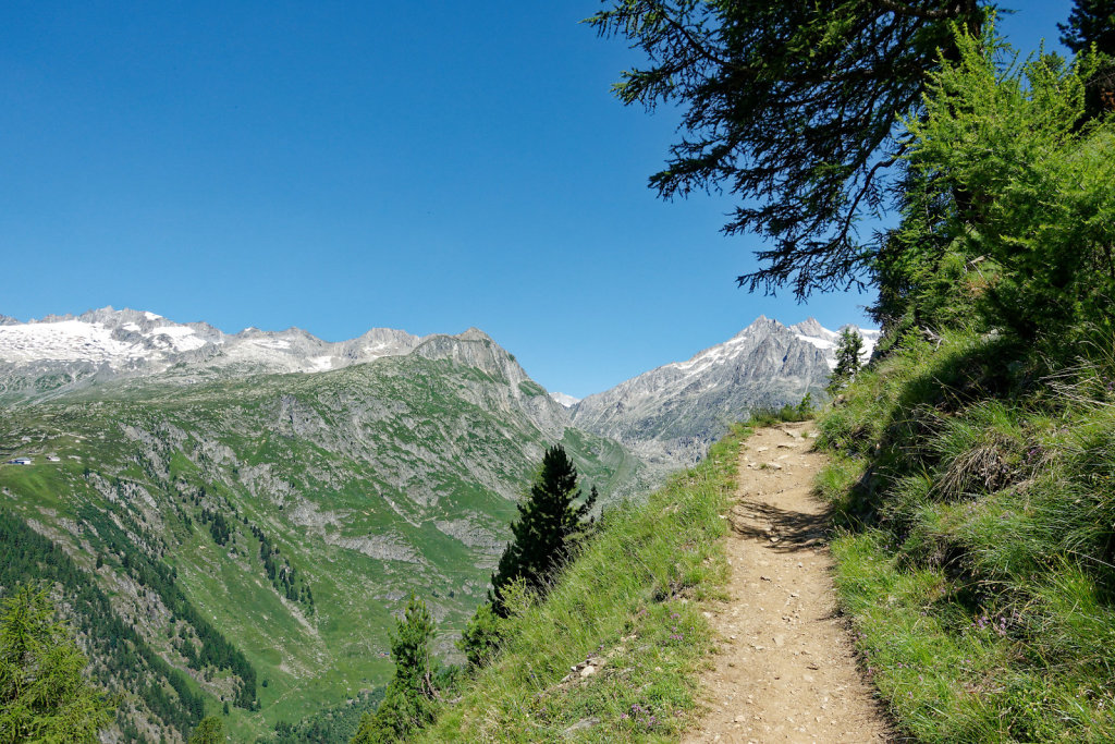 Riederalp, Riederhorn (09.07.2023)