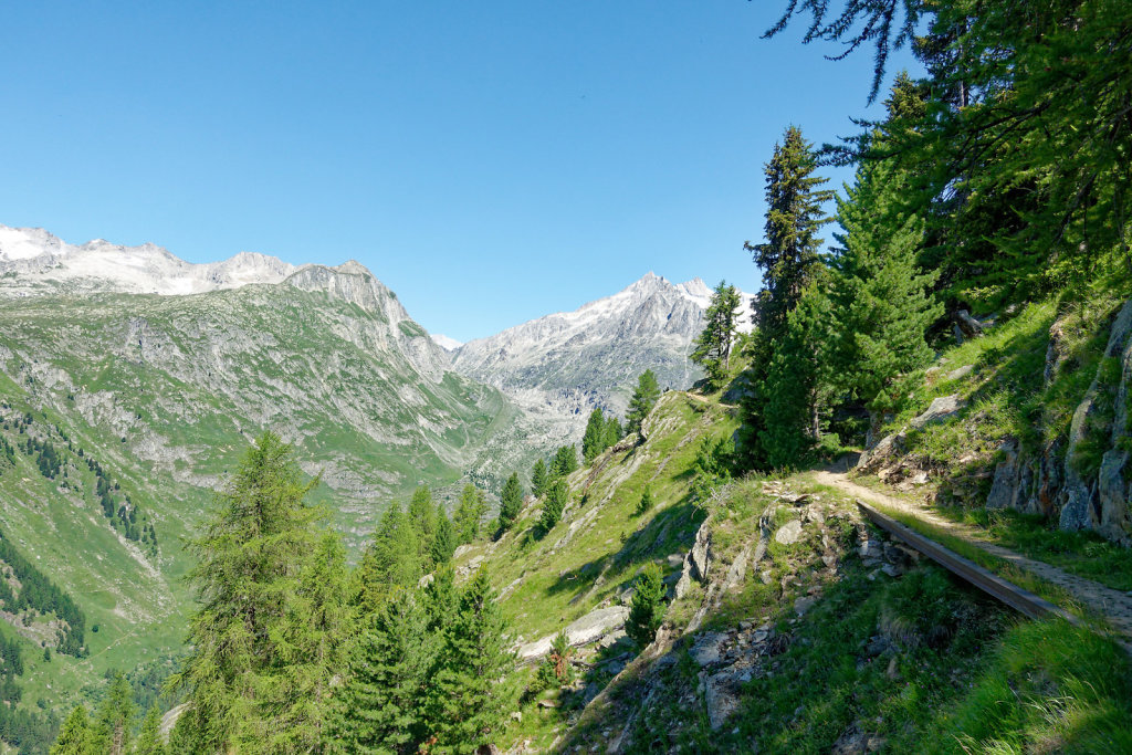 Riederalp, Riederhorn (09.07.2023)