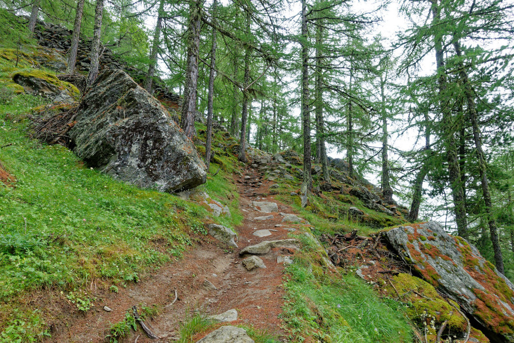 Hängebrücke, Europahütte (13.07.2023)