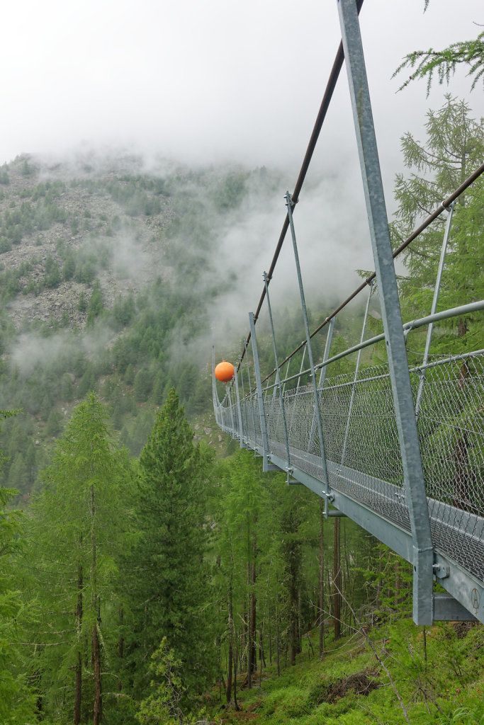 Hängebrücke, Europahütte (13.07.2023)