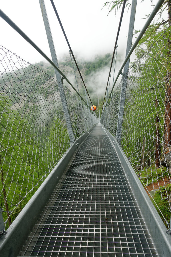 Hängebrücke, Europahütte (13.07.2023)