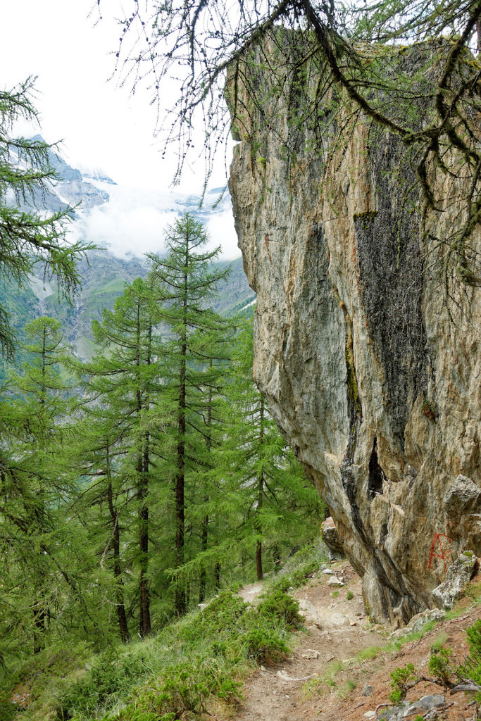 Hängebrücke, Europahütte (13.07.2023)