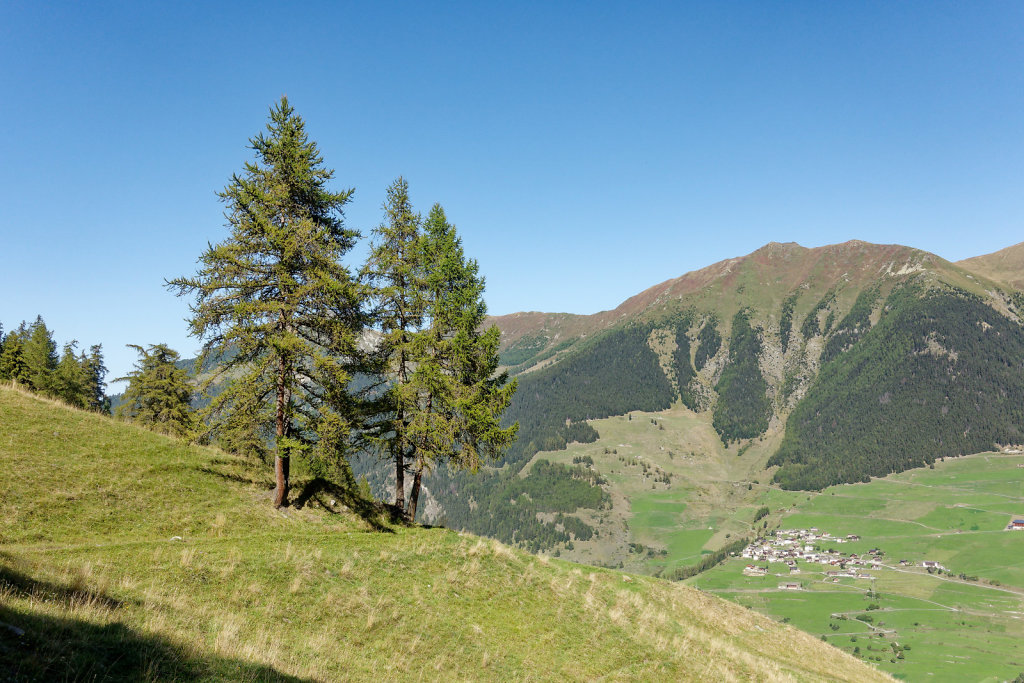 Tsissette (24.09.2023)