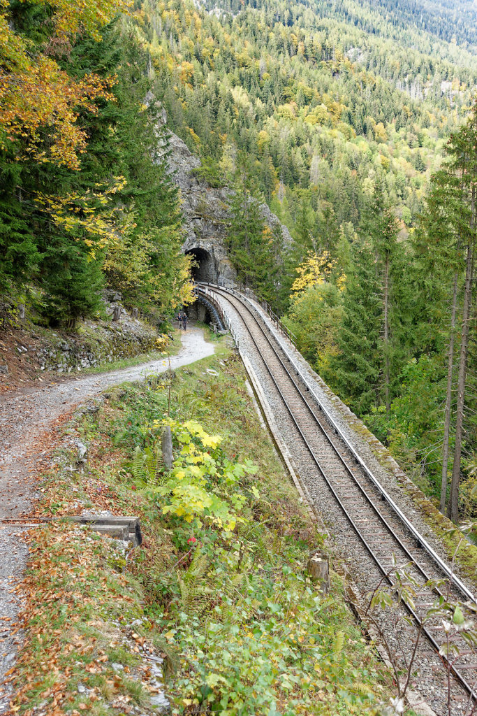 Marécottes, Finhaut (29.10.2023)