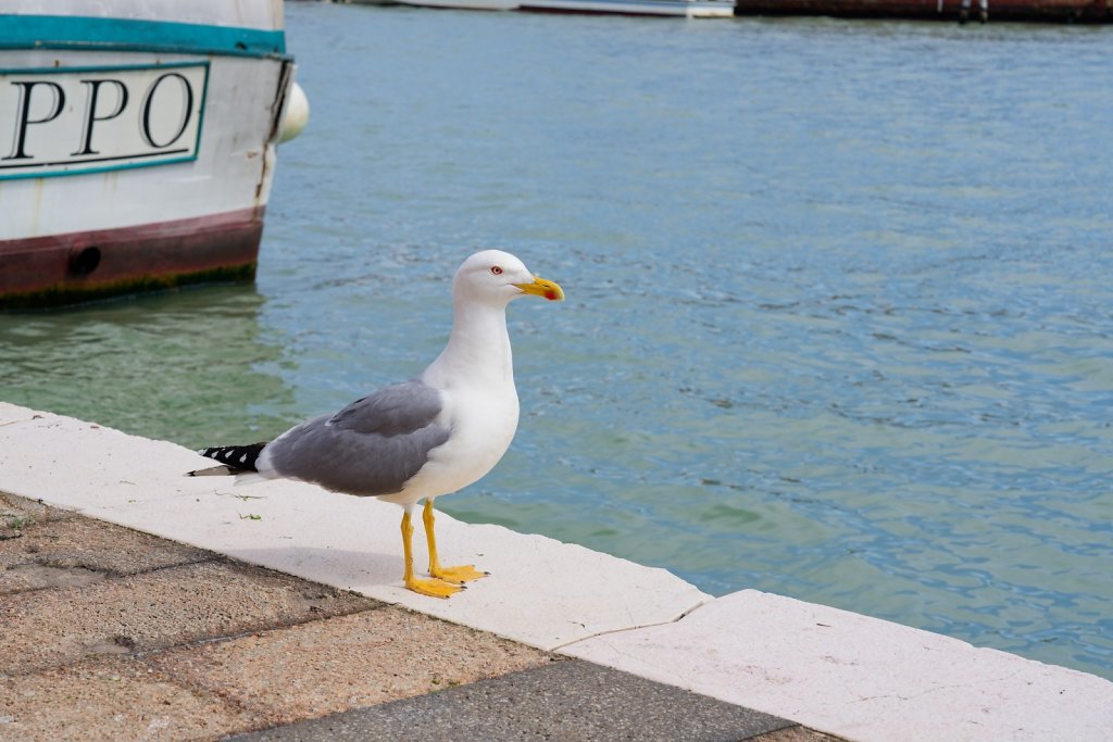Venise (avril 2024)