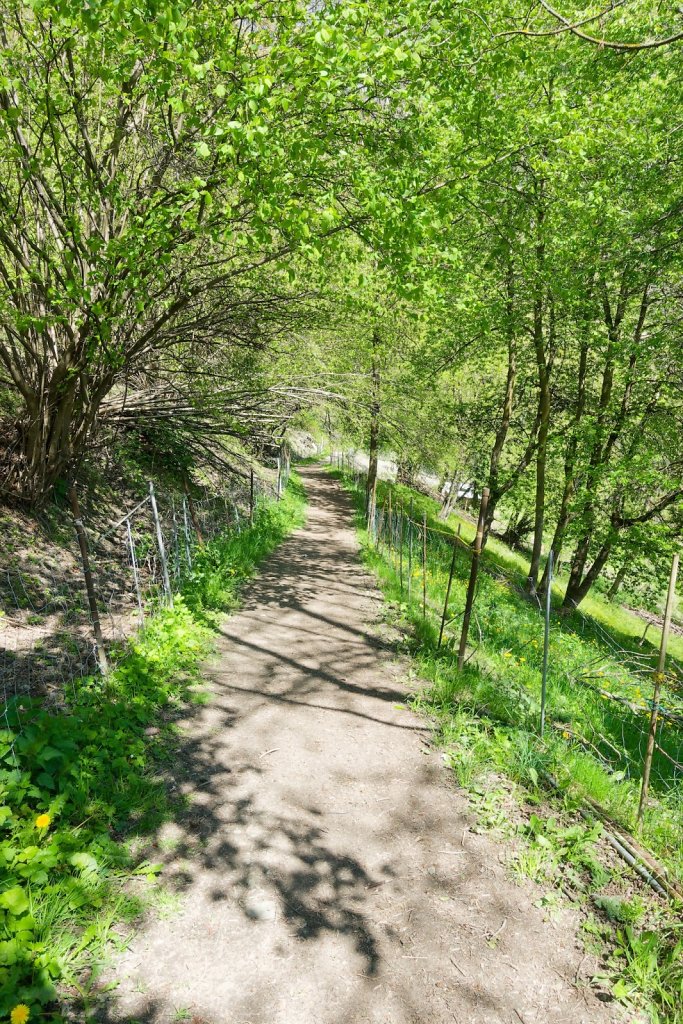 Saillon, Passerelle à Farinet (25.04.2024)