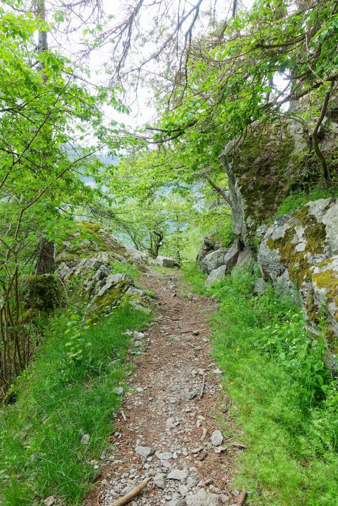 Gorges du Dailley (26.05.2024)