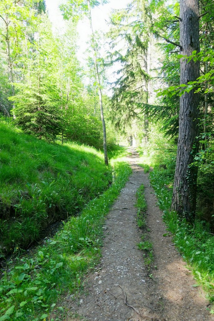 Bisse de Tsanpé et Déjore (05.06.2024)